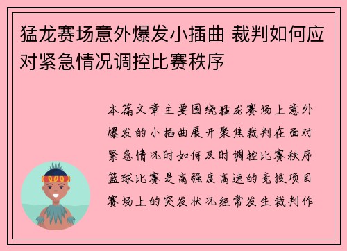 猛龙赛场意外爆发小插曲 裁判如何应对紧急情况调控比赛秩序
