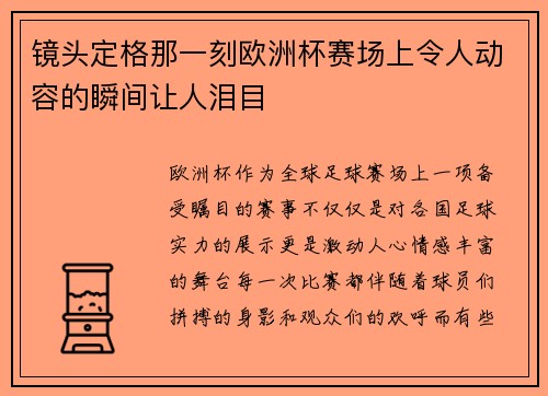 镜头定格那一刻欧洲杯赛场上令人动容的瞬间让人泪目